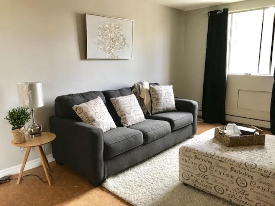 Comfortable & Spacious, the couch is a pull out and provides another double bed!