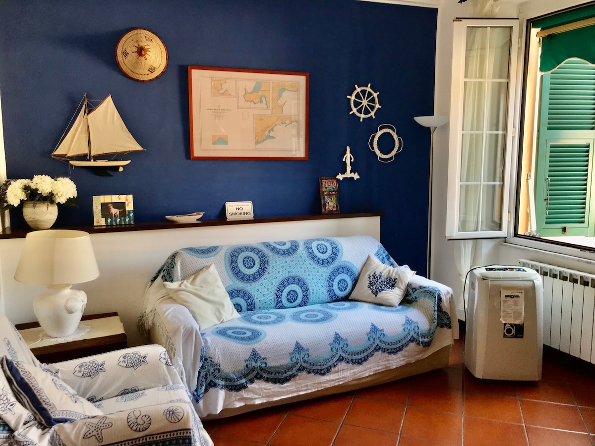 Top performing Airbnb: A paradise for everyone CTR 011019 - LT - 0126 in Monterosso Al Mare