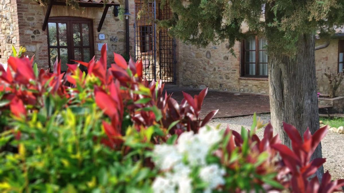 The image showcases a charming stone structure framed by lush foliage. Vibrant red and green plants in the foreground draw attention to the tranquil setting. A rustic entrance is visible, leading to the inviting facade adorned with windows and rustic features.