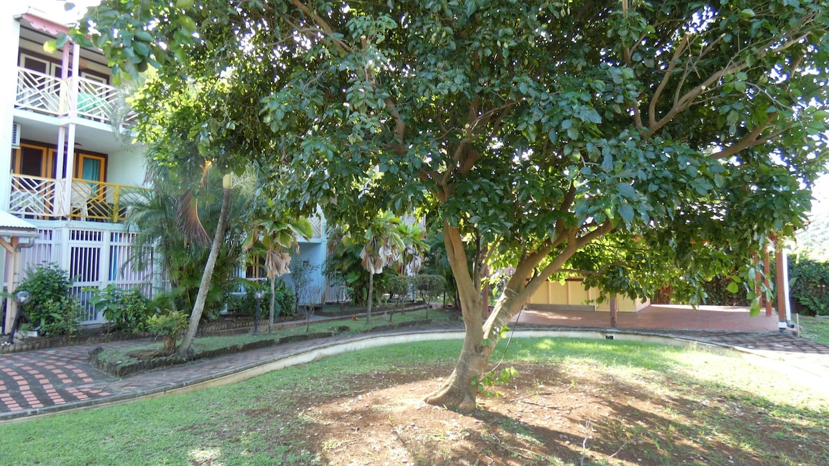 A lush garden area featuring a large tree surrounded by green grass. Pathways meander through the foliage, leading to a spacious outdoor area visible in the background. Tropical plants can be seen throughout the space, contributing to a vibrant and serene environment.
