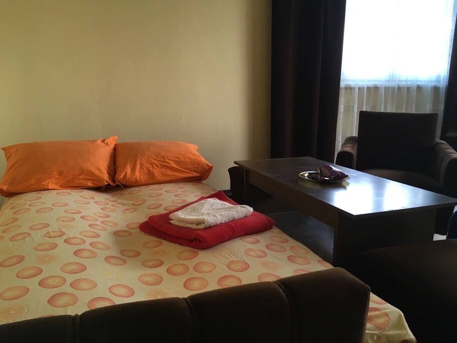 Spacious sunny room with uniqe view to the park and the Vitosha mountain.