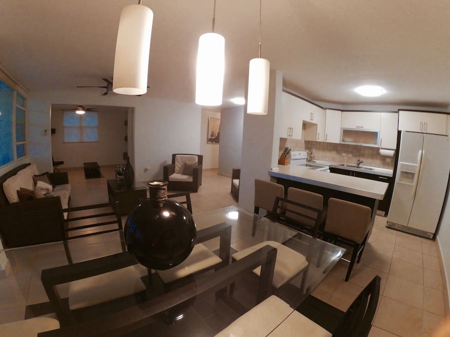 Open Floor Plan / Living Room /Dinning Room / Full Kitchen