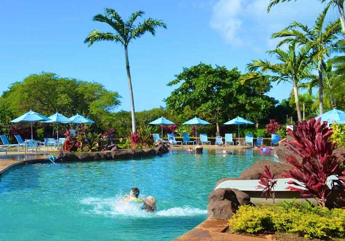 Poipu Beach House: Ocean View, Lush Garden, Beach! gallery image 3