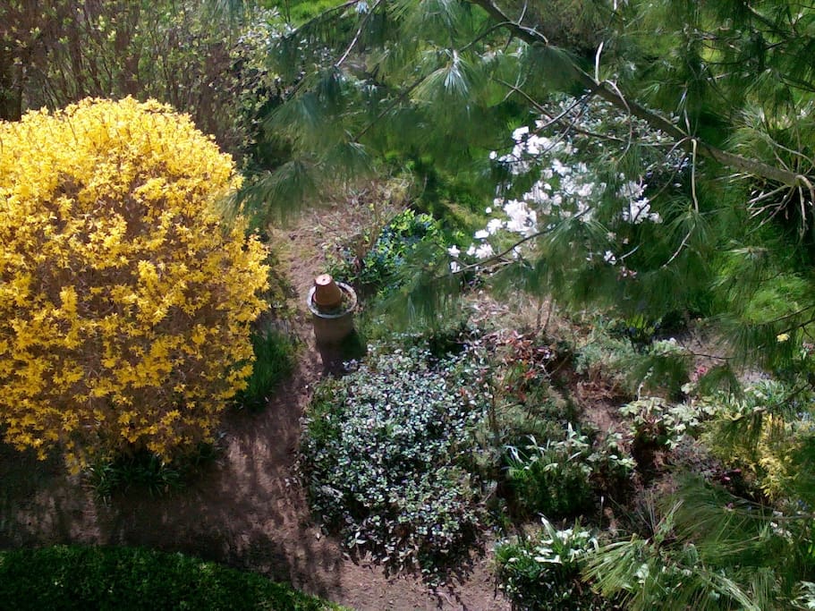 Blick in den Garten vom Gästezimmer aus