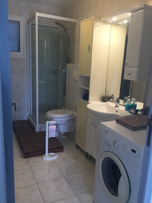 Salle de douche + wc