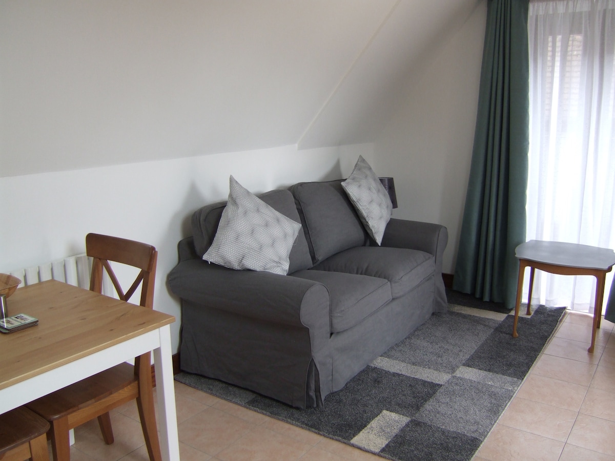 A comfortable living area features a grey sofa adorned with decorative pillows, placed on a soft area rug. A wooden dining table with chairs is positioned nearby, complemented by a small side table. Natural light filters through sheer curtains, enhancing the inviting space.