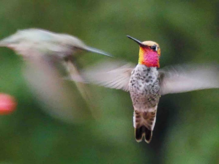 Top 10 Airbnb Vacation Rentals In Auburn, California Updated 2024