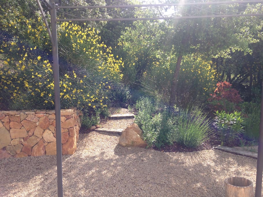 jardin