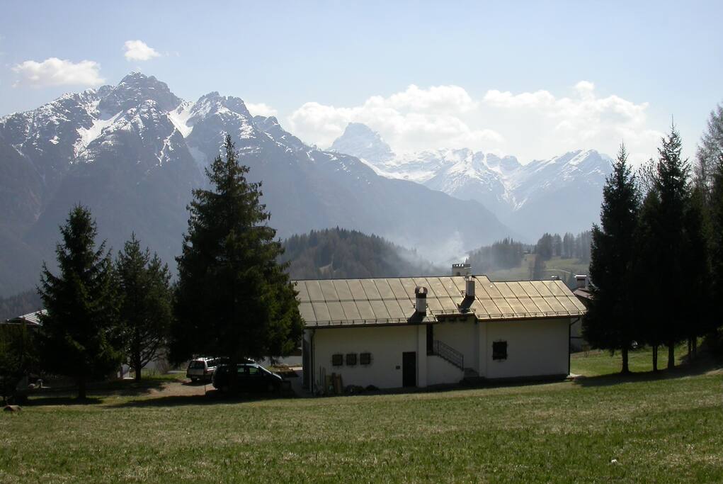 The house from the back