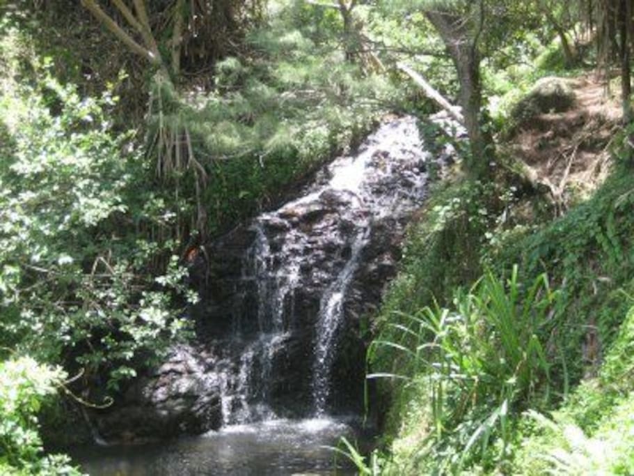 waterfall 5 min walk down trail to queens bath