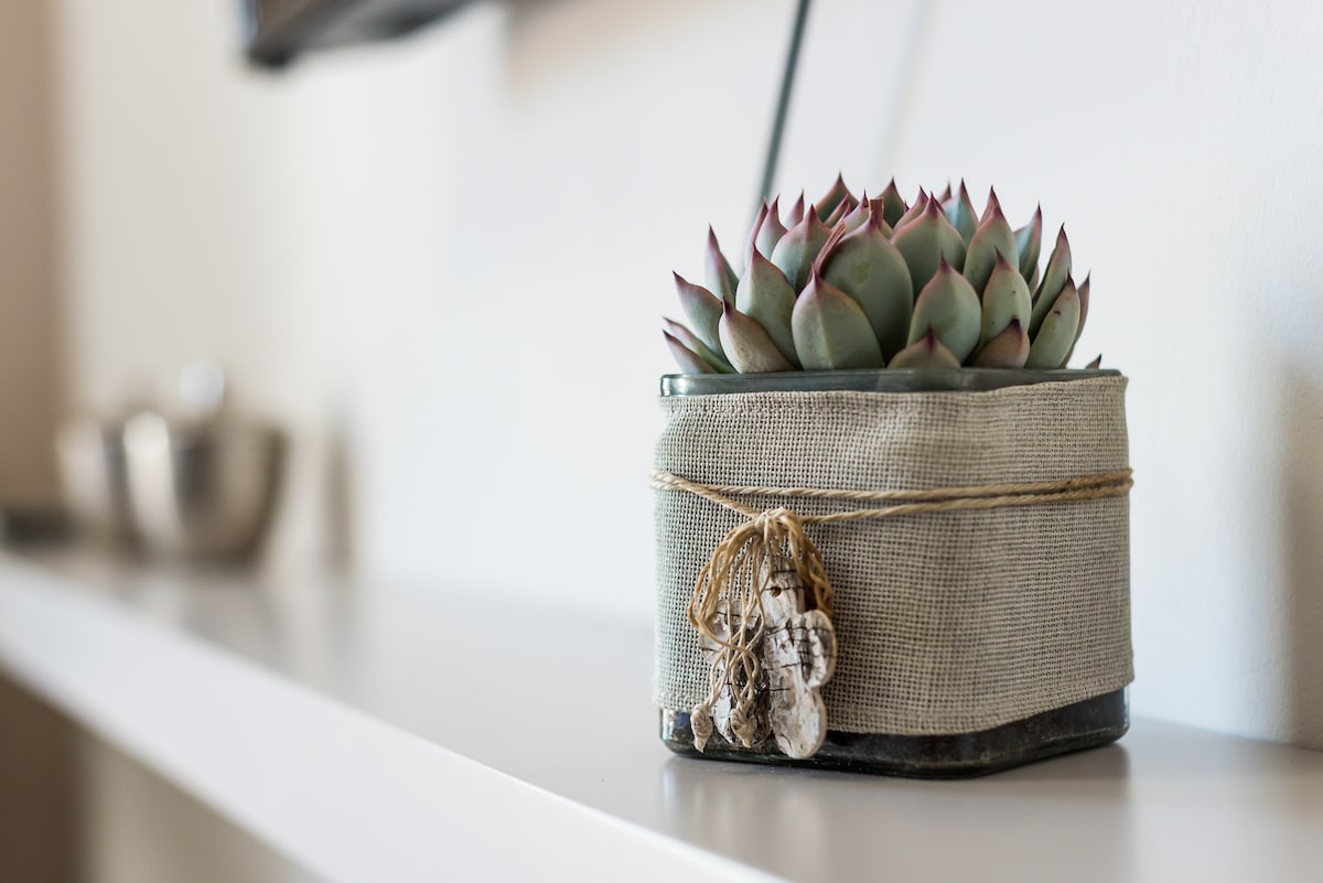 A succulent plant is presented in a decorative glass container wrapped with burlap and twine. The setting features a clean, minimalist shelf that holds several metallic bowls in the background.