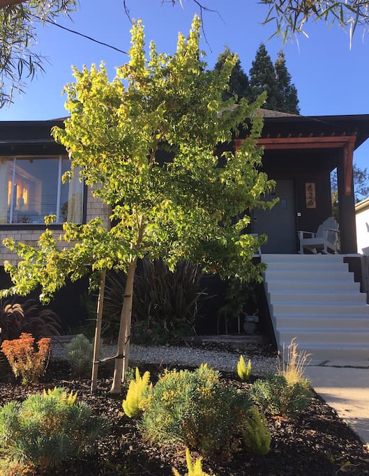 Cozy Craftsman Bungalow.