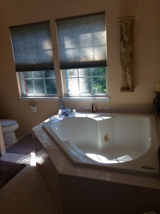 View of the Master Bath Jacuzzi hot tub
