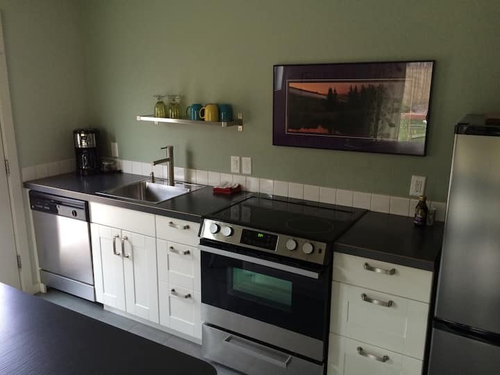 Minutes Walk Private Flat DowntownWestside Flats Apartments for Rent