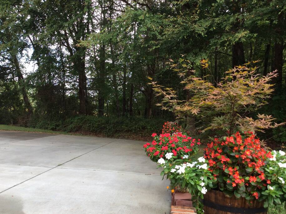 Parking space for 1 vehicle at the entrance to the guest house.