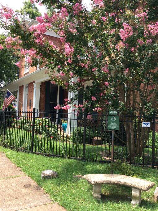 Summer at the Childress home with crepe myrtles and zinnias blooming.