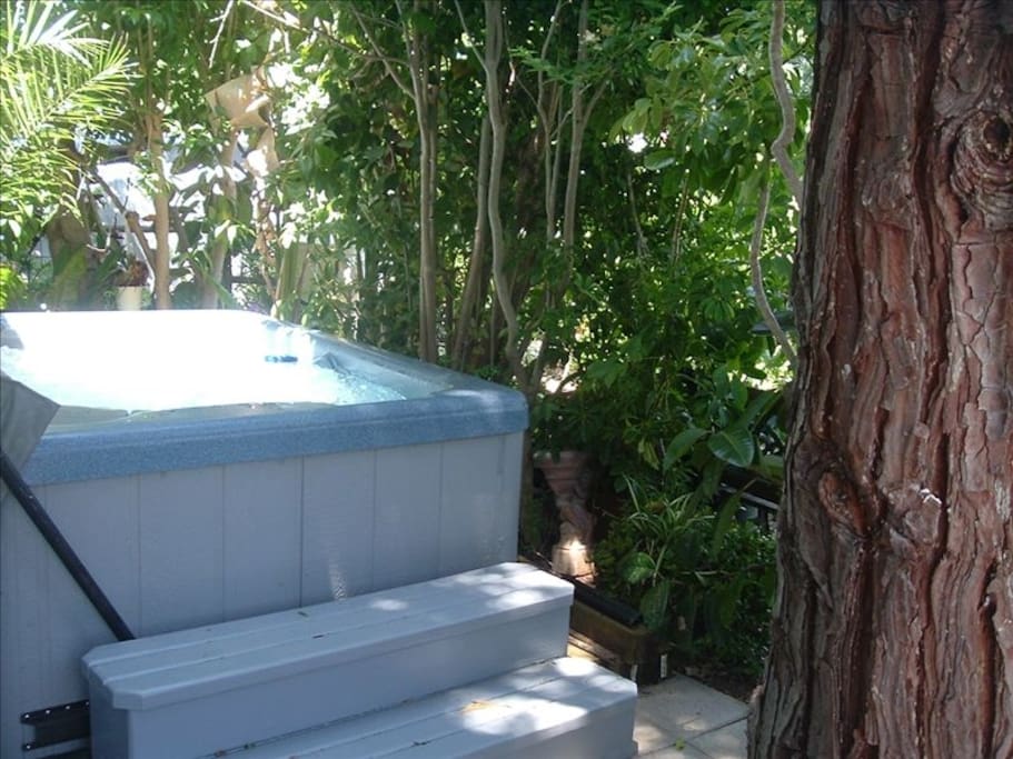 Private Hot Tub in fenced and secluded patio with gas BBQ