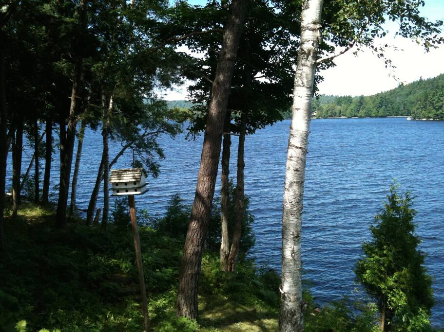 Lake view