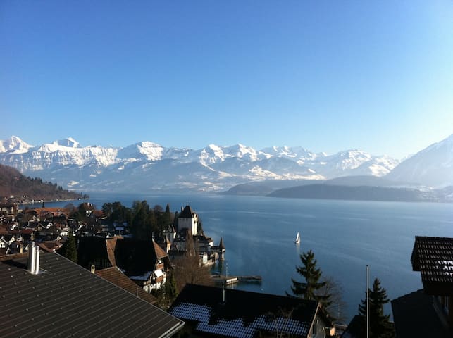 Lerne interessante Singles aus Thun kennen: