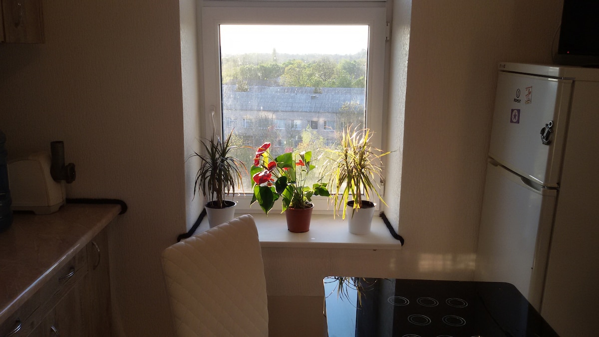 A kitchen window with a view features several potted plants displayed on the sill. Natural light filters through, illuminating the plants. A portion of a white refrigerator is visible to the right, while a black stove top is seen in the foreground.