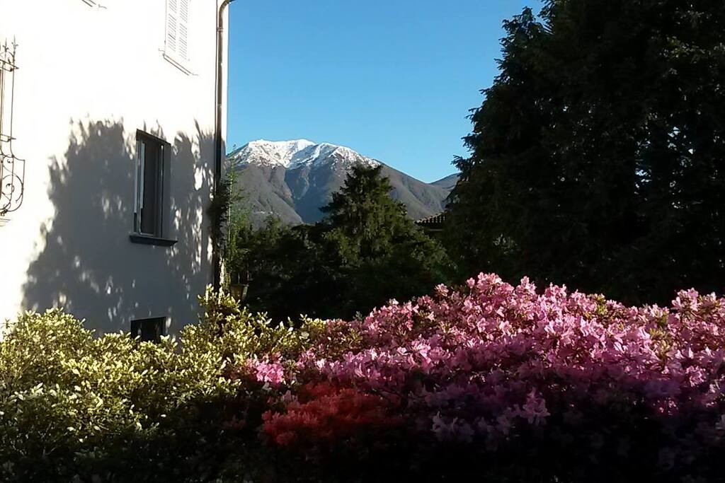 Frühling vom Sitzplatz
