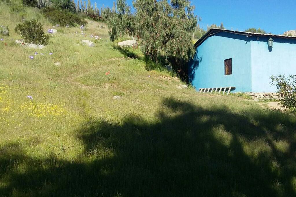 Casa de Campo de Adobes.