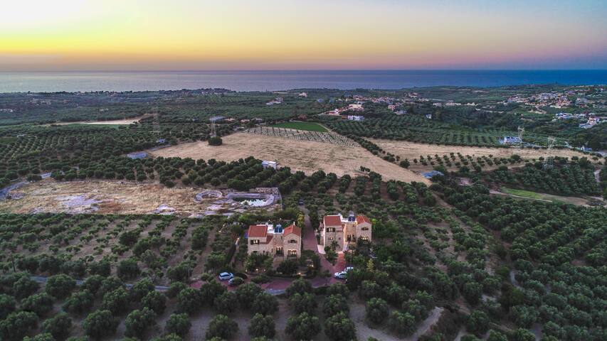 Villas Louloudaki ideal for big familys and group gallery image 4