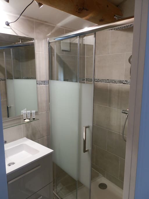 Salle de bain indépendante avec douche et WC au même niveau.