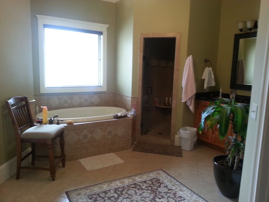 master bathroom 2