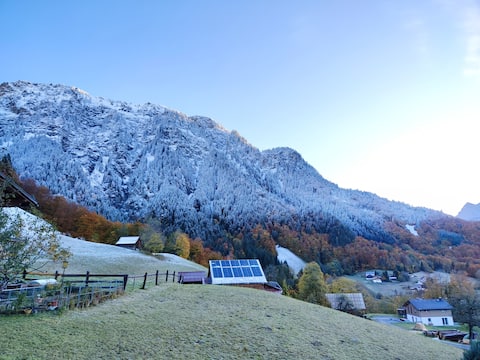Top performing Airbnb: Mountain Home Eckert in Dalaas