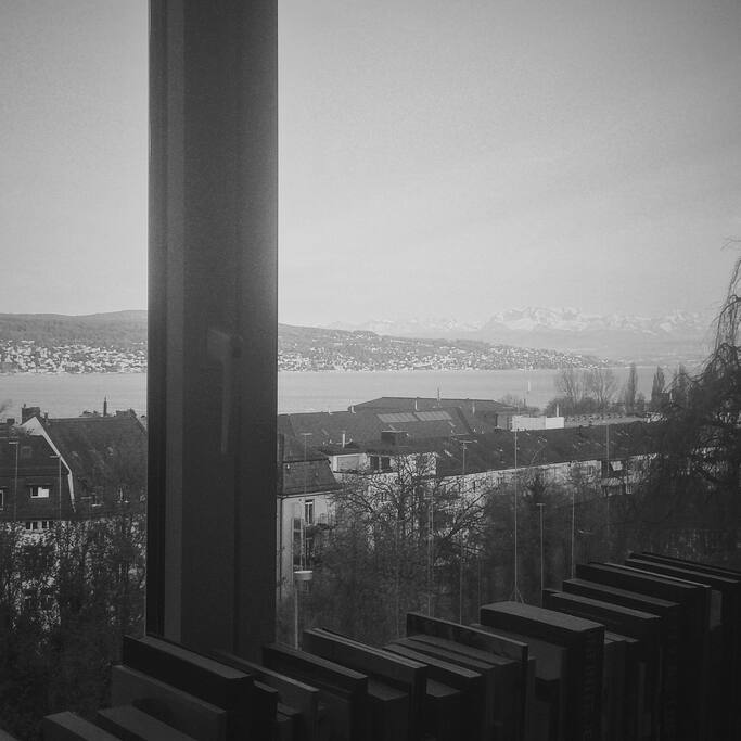 View from the living room.
