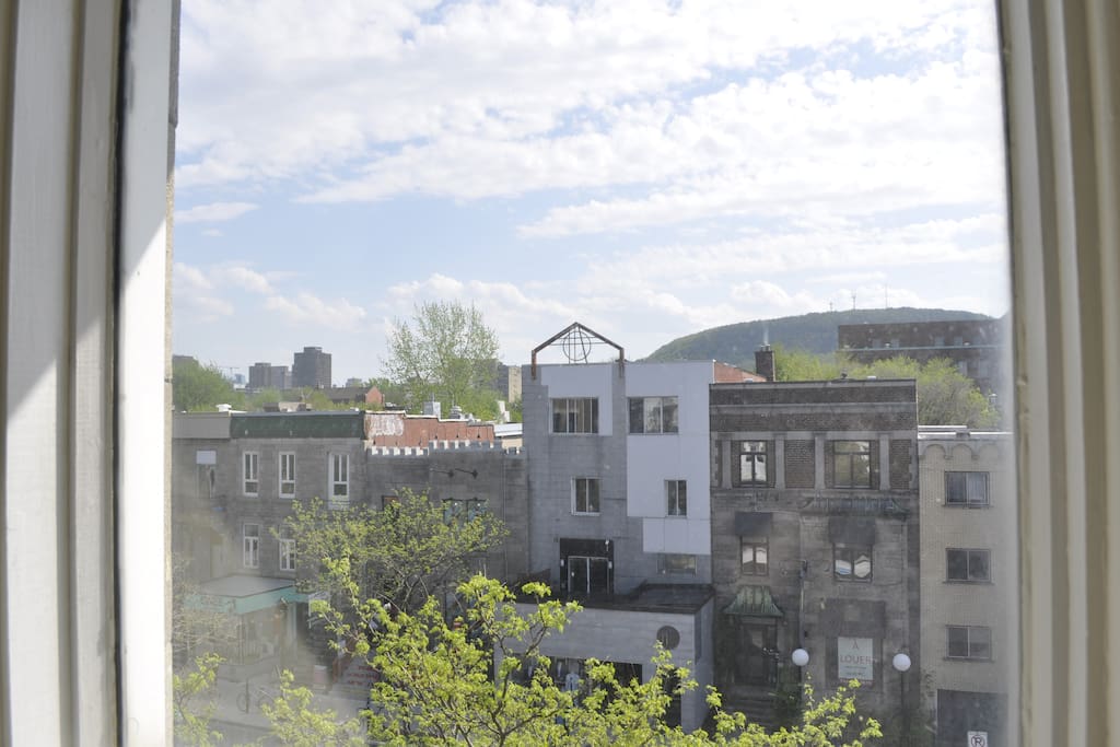 view from the room