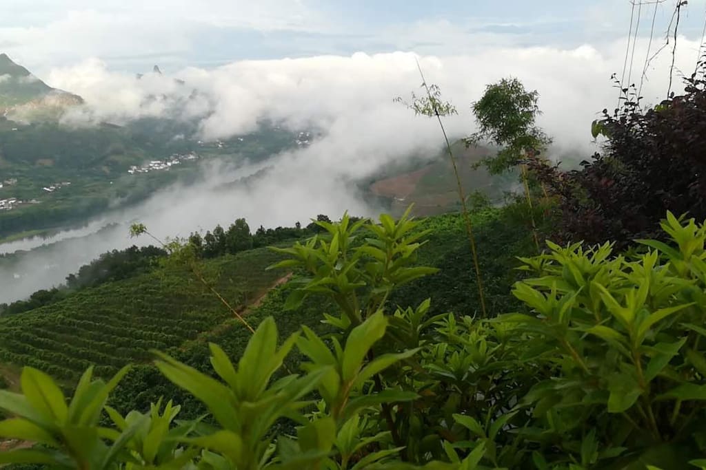窗外美景