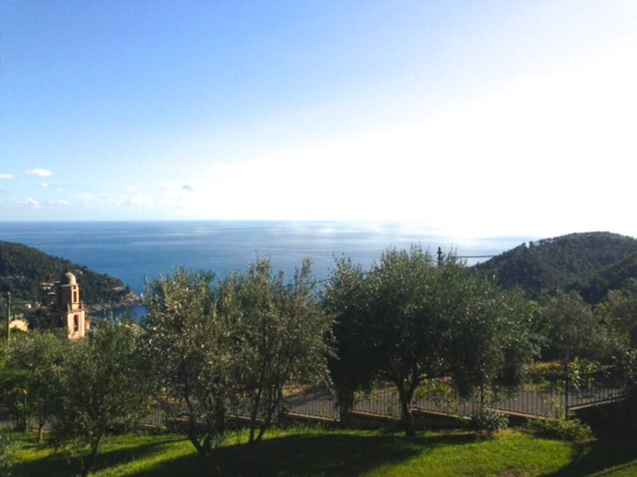 il panorama
