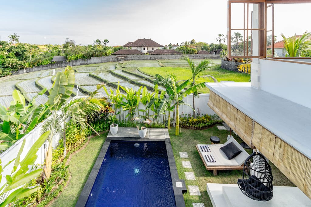180 degree rice field views from the terrace