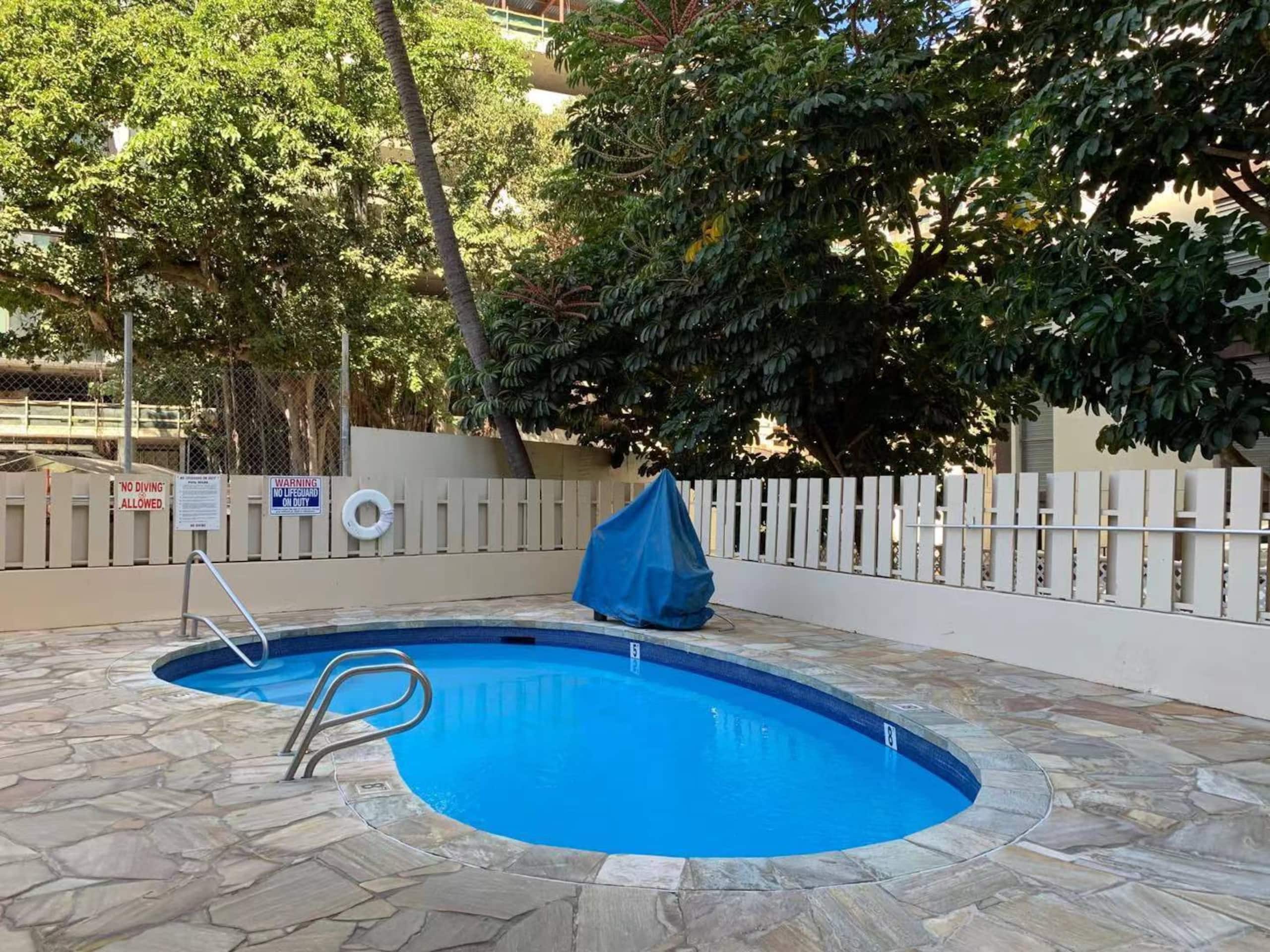 MangoGo 403/Cozy & Spacious New Room in Waikiki - Image 18