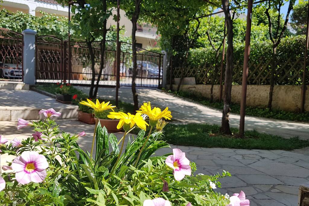 garden
