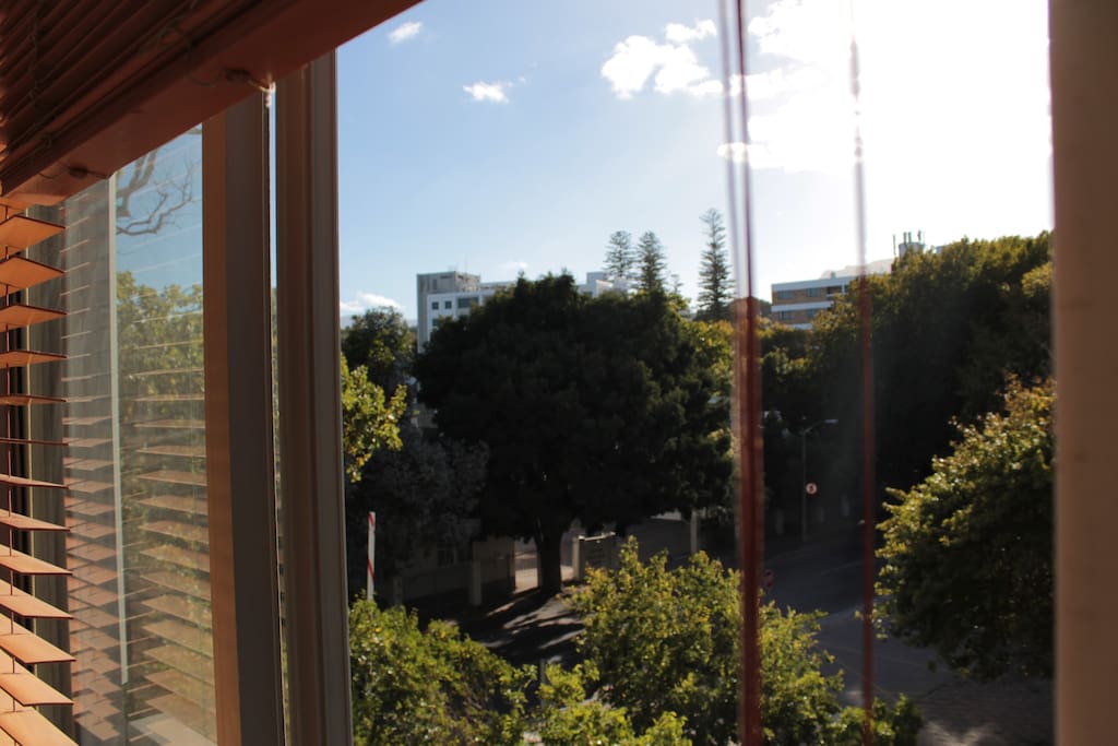 View from the living room