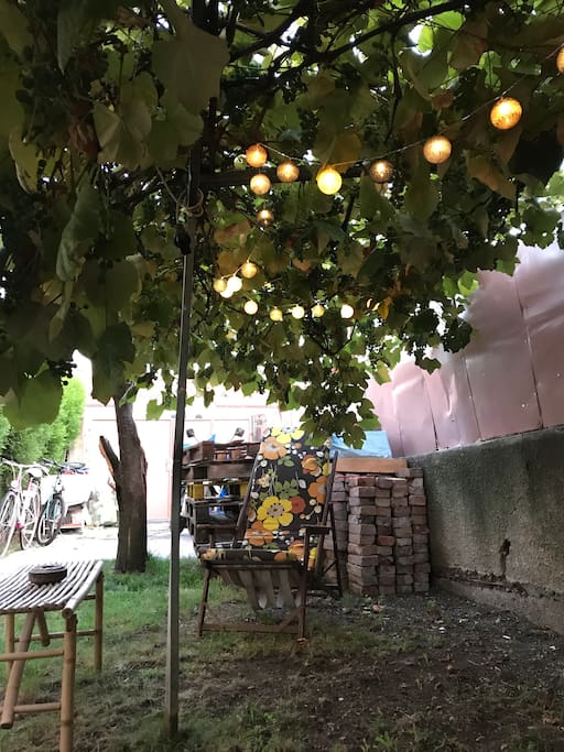Garden