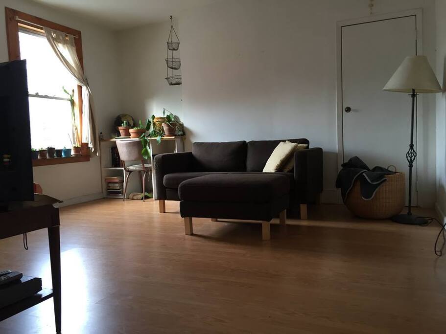 shared livingroom