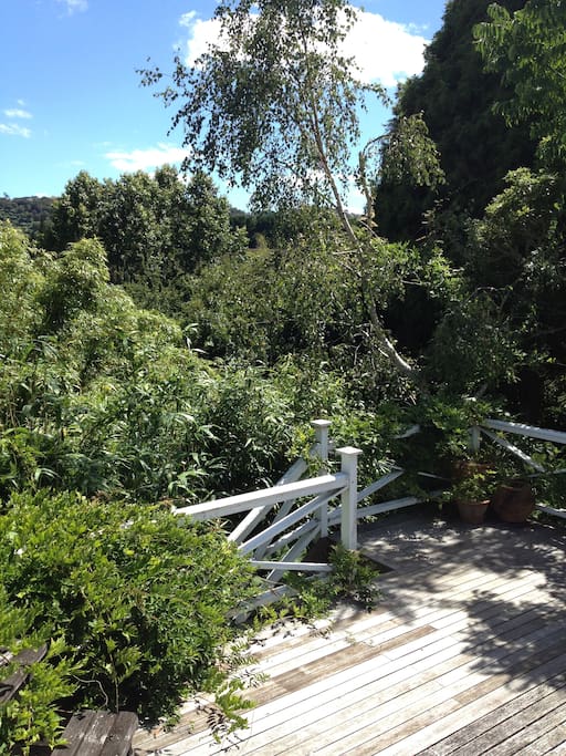 This is entrance to the deck of apartment-surrounded by trees - we have planted over 7,000 trees and bushes on this property.