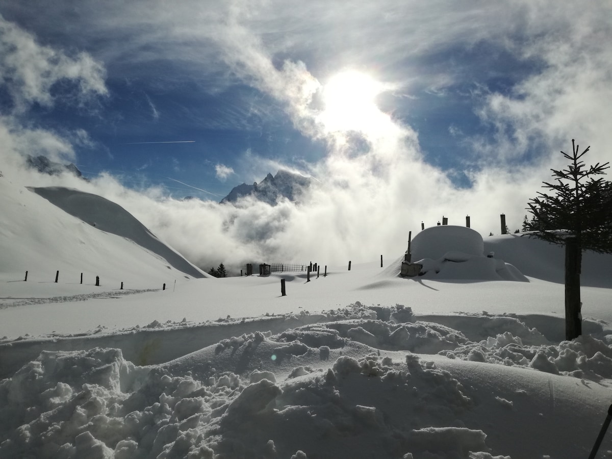 Snow-covered terrain is depicted under a bright sun partially obscured by clouds. Jagged mountain peaks rise in the background, while a scattering of wooden posts is visible in the snow. A few evergreen trees are present, adding a touch of greenery to the wintry landscape.