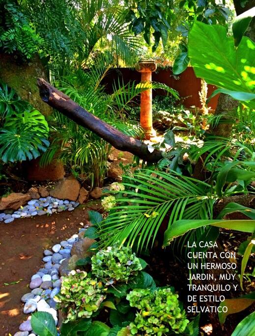 TRANQUILO Y HERMOSO JARDIN SELVATICO DE LA CASA