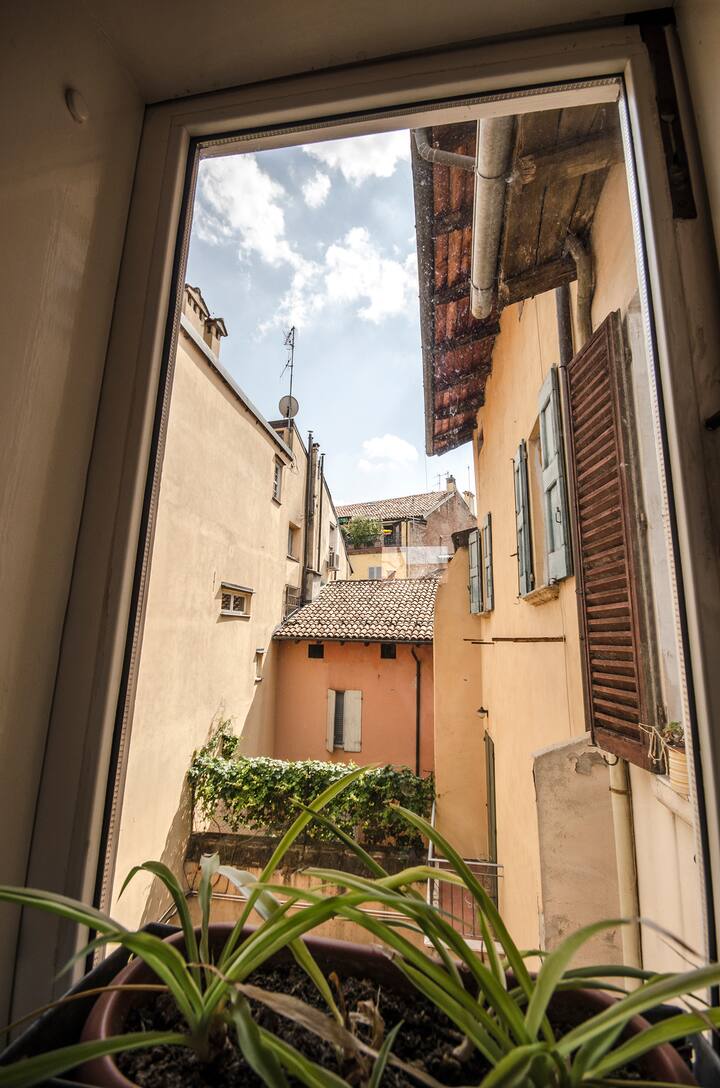 Apartment in the Heart of the city Apartments for Rent in Bologna