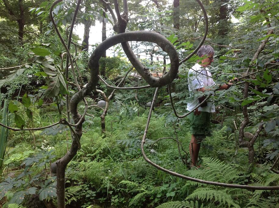 Fantatopo, il giardino della casa creato da Renato Tagli land artist, la casa e ricca delle sue opere....... Dietro il grotto Franci, tipico ristorante all'aperto, aperitivi, pranzi e cene....