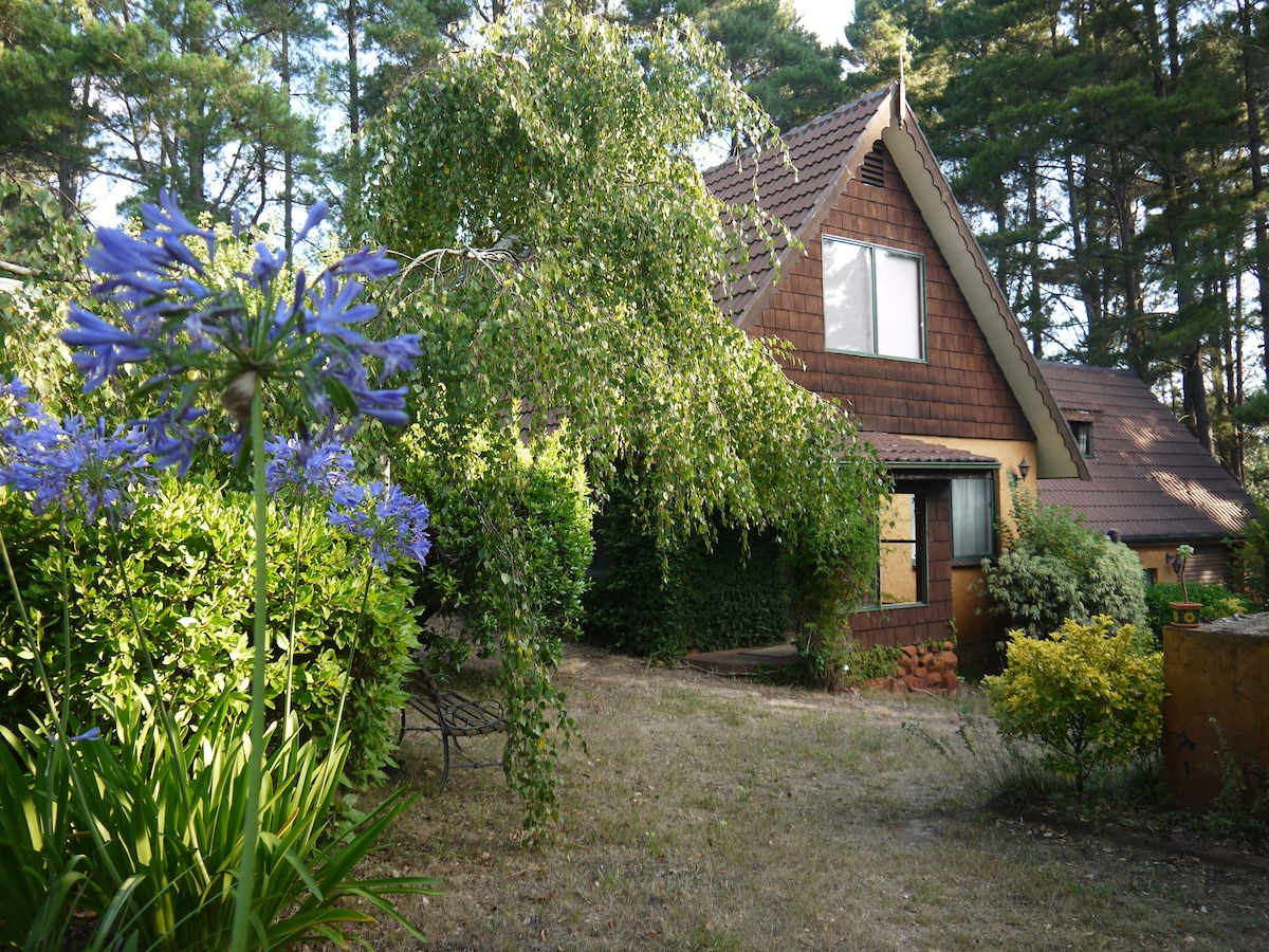 A charming split-level house is nestled among mature pine trees, featuring a sloped grassy area and blooming flowers in the foreground. The house exterior displays a mixture of wood and brick, with large windows offering natural light, creating a serene and inviting atmosphere.