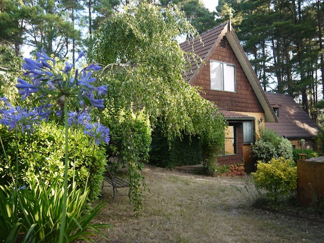 "Whispering Pines" rural escape