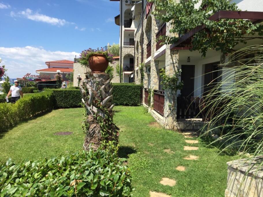 Garden