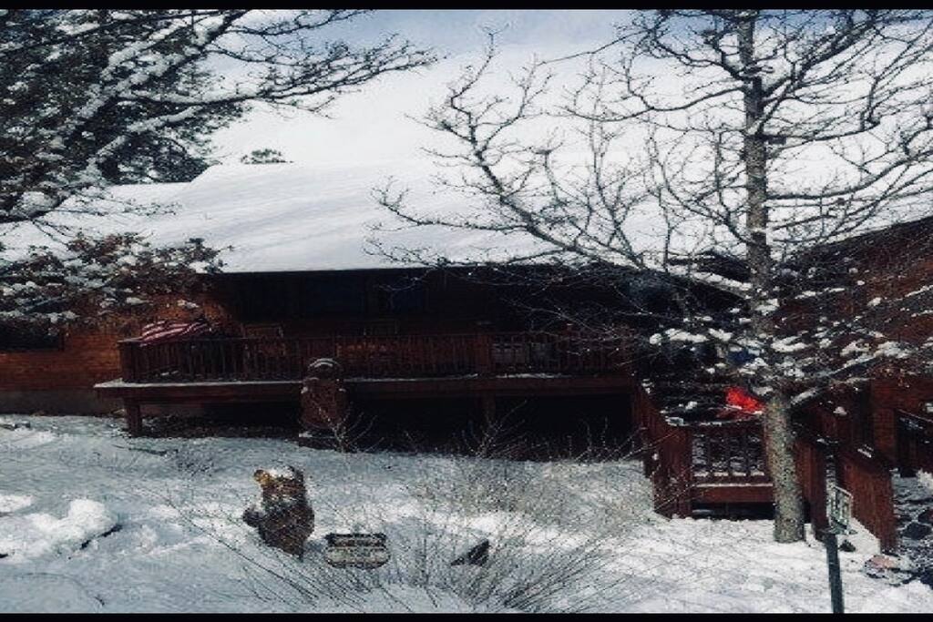 Winter at Bear Bottoms
