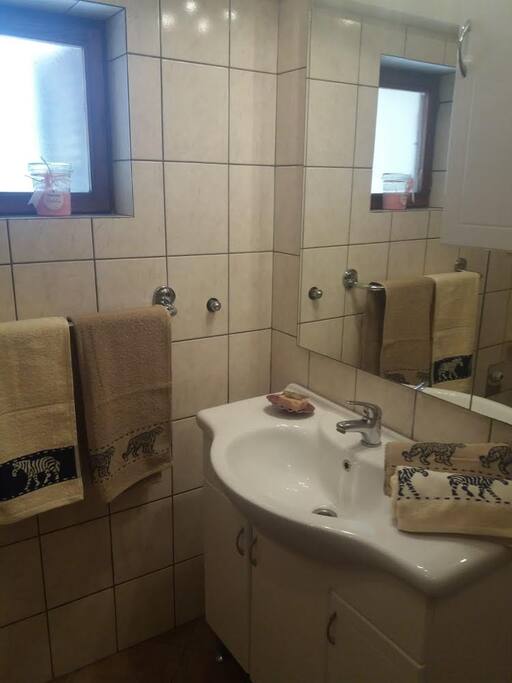 Apt Milena - bathroom